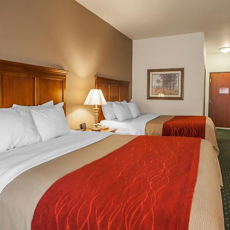 Comfort Inn & Suites Davenport - Quad Cities Экстерьер фото