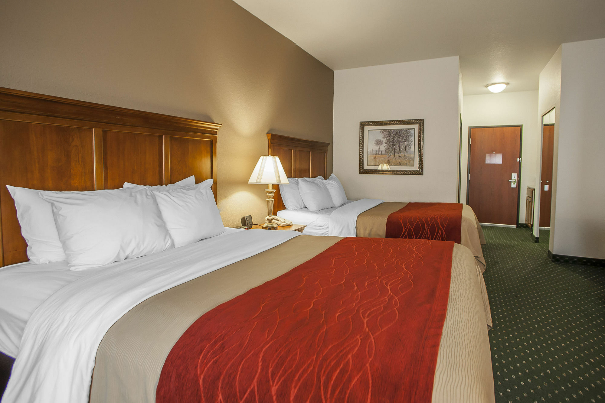 Comfort Inn & Suites Davenport - Quad Cities Экстерьер фото
